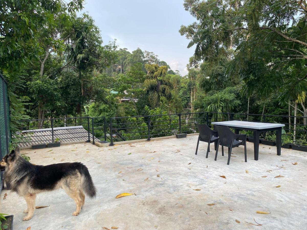 Star Gaze Lodge Ella Luaran gambar